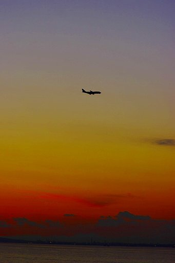 夕焼け飛行