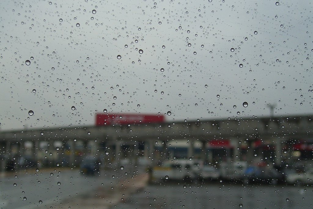 雨粒