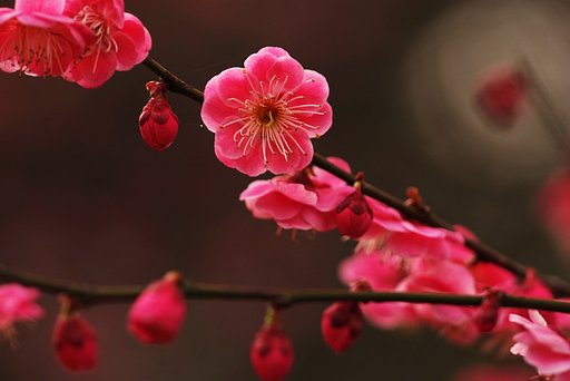 「よびかけ」