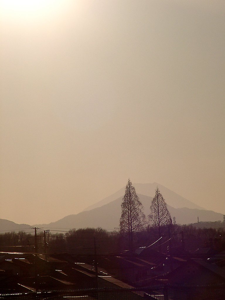▲日本画風の夕暮れ-16