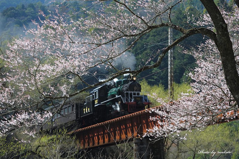 春の山間
