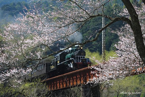 春の山間