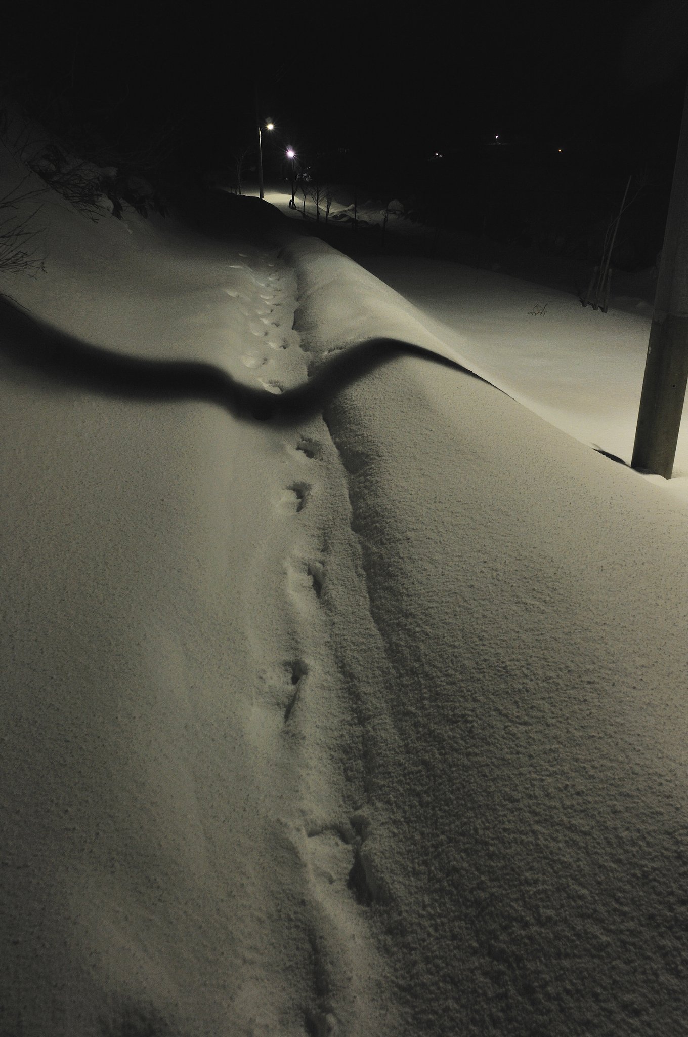 雪国の夜