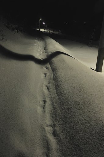 雪国の夜