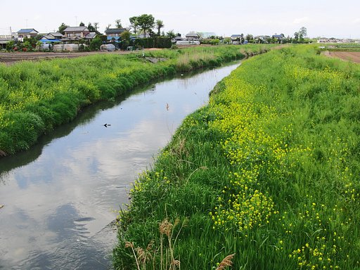 田園風景