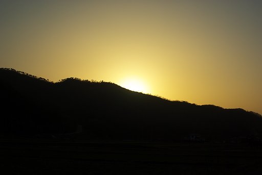 黄金色の夕日！