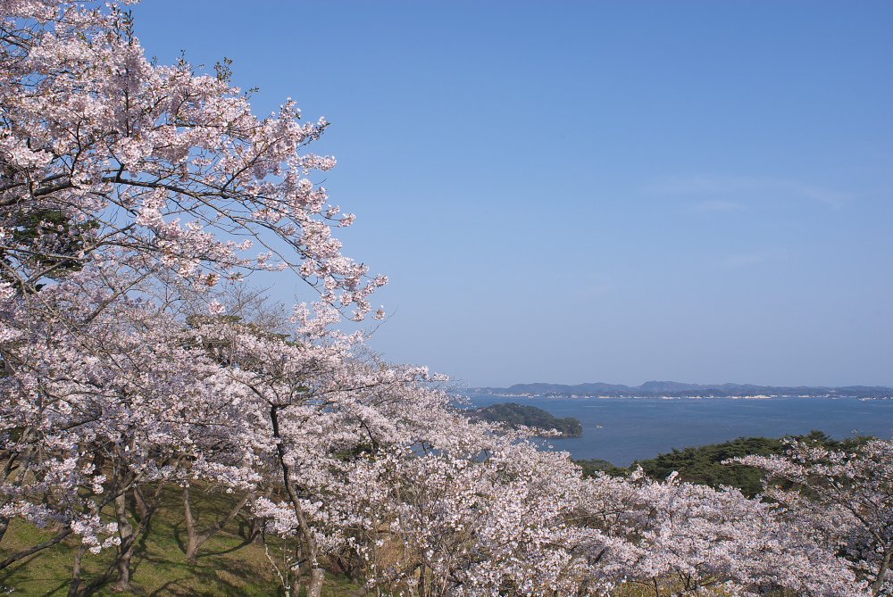 嗚呼松島や