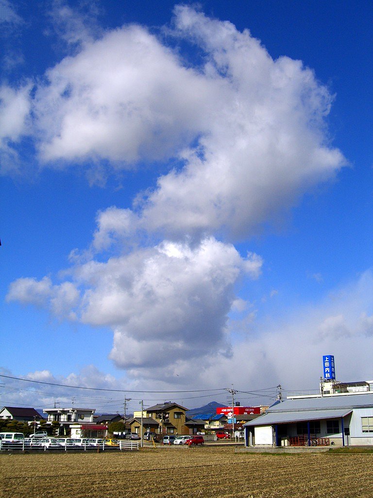 復帰しました