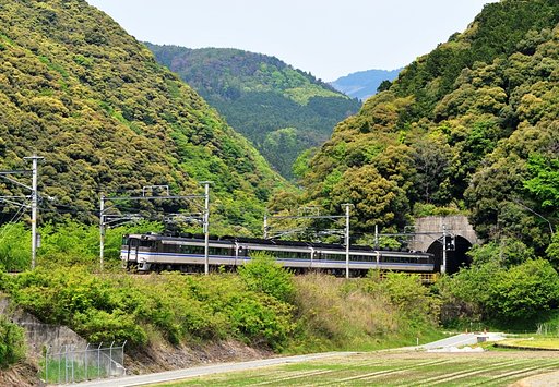 新緑をゆく