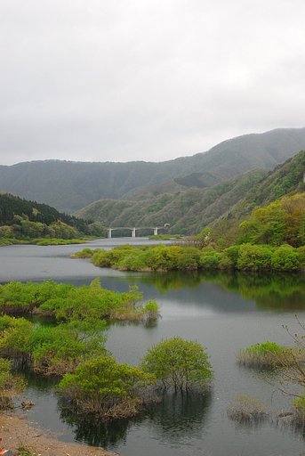 風景スナップ