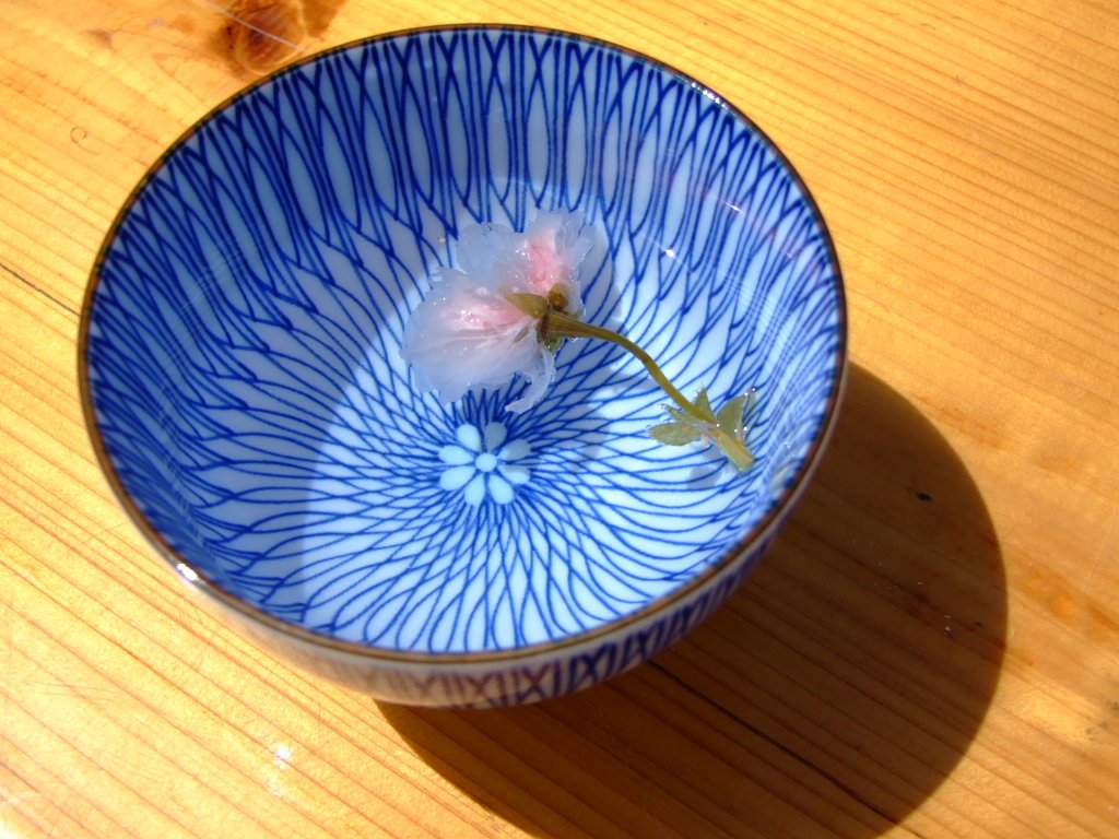 おひとつどうぞ〜