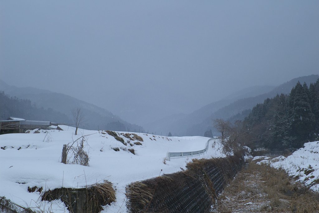 アラレが降って県境の山が見えない