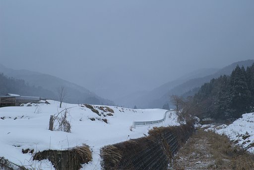 アラレが降って県境の山が見えない