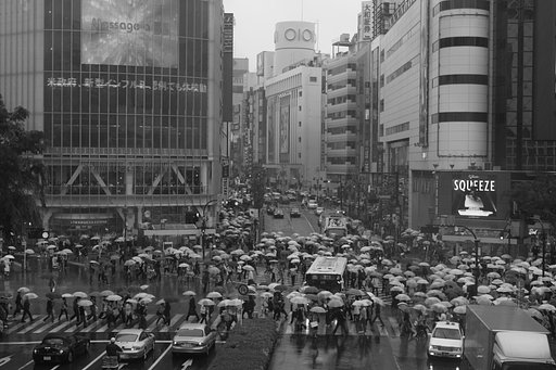 Rainy Day