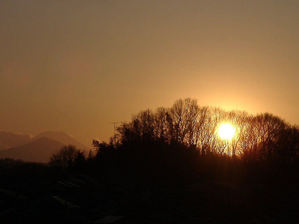 ▲日本画風の夕暮れ-28