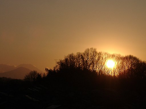 ▲日本画風の夕暮れ-28