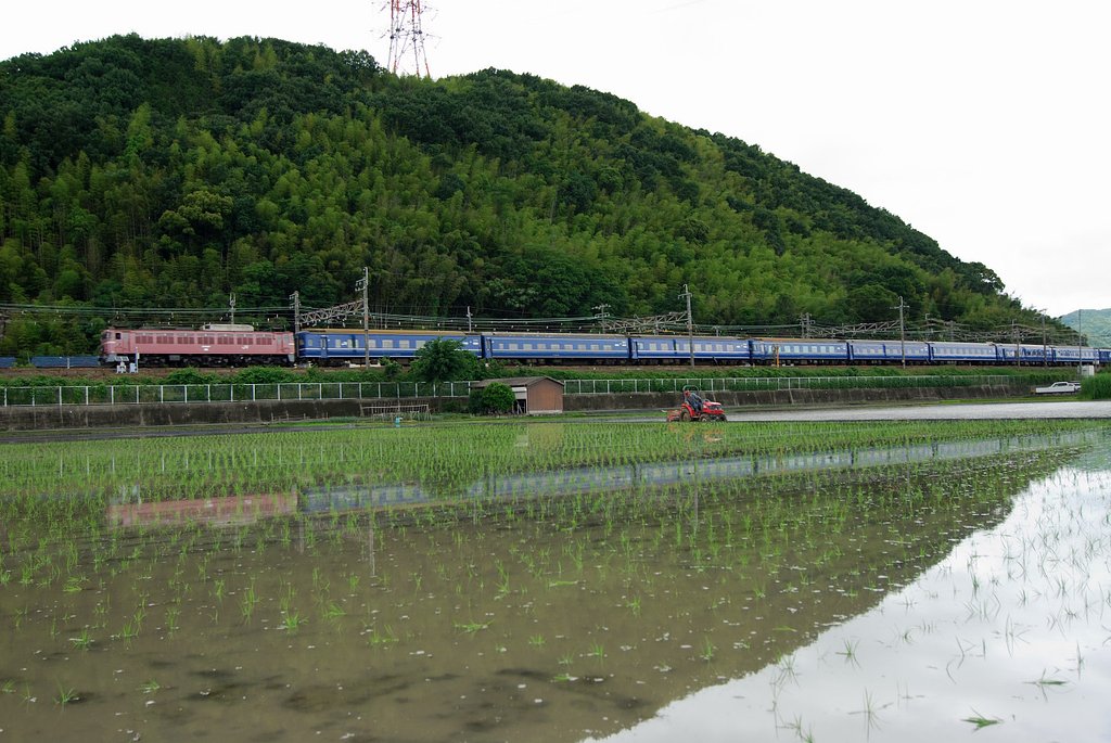 田植えのころ