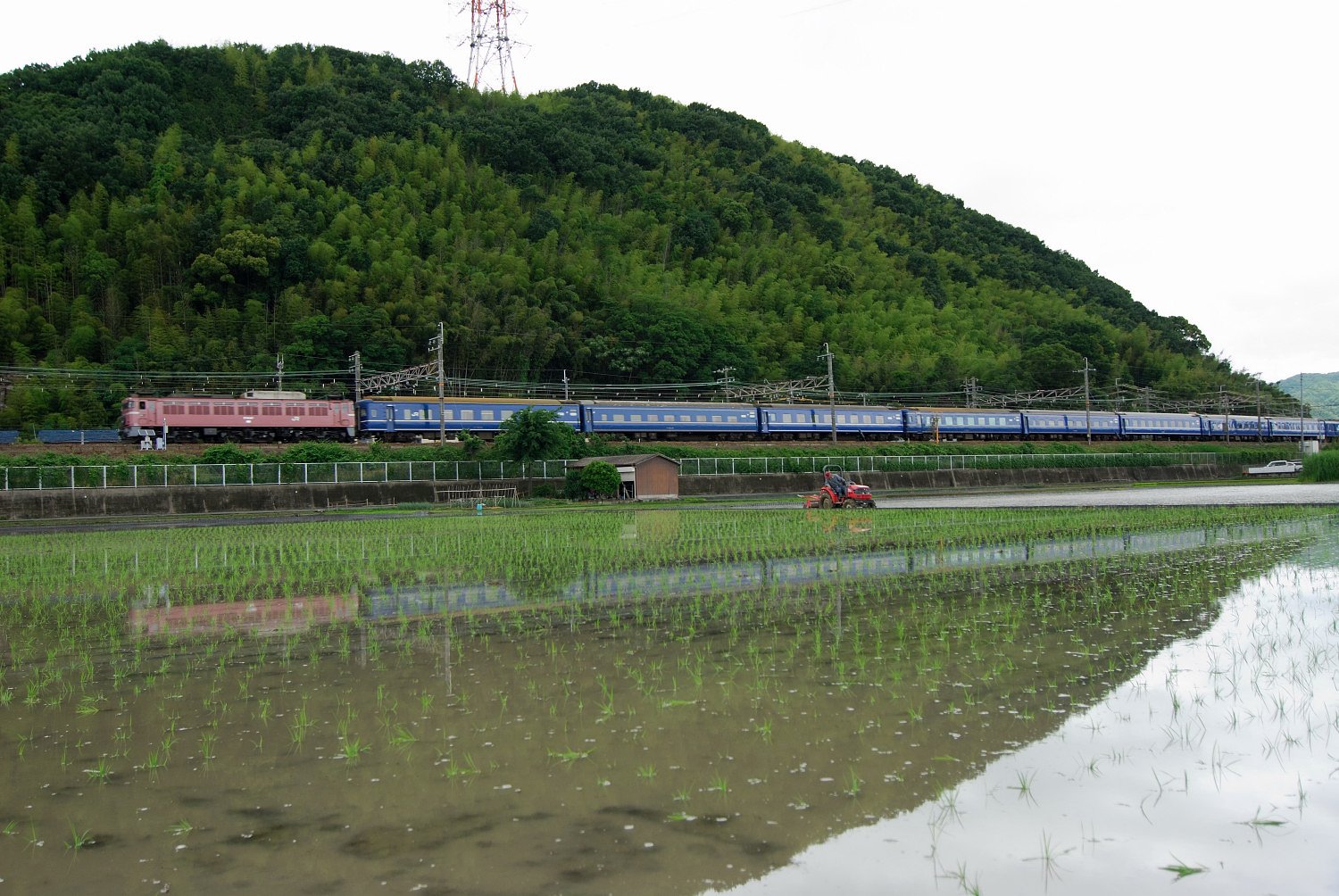 田植えのころ