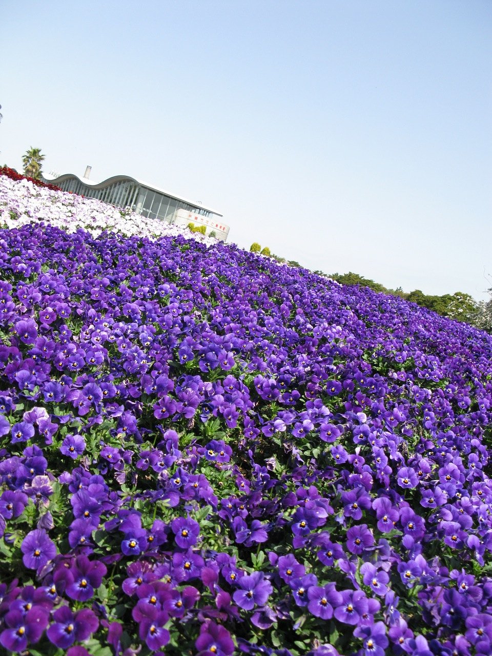 花の博物館エントランス
