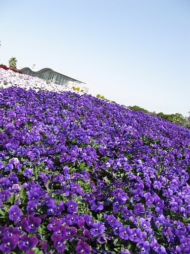 花の博物館エントランス