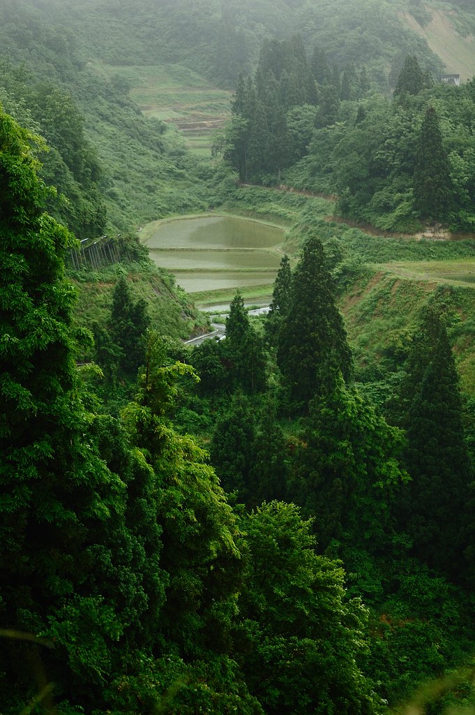 天空の田んぼ　　新潟・旧山古志村