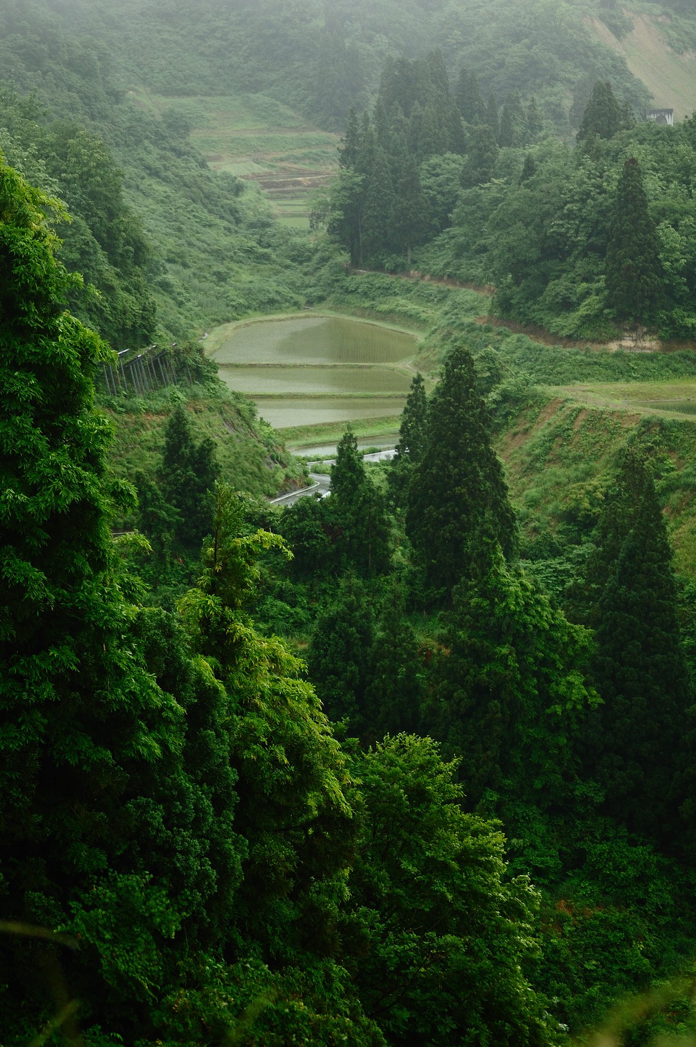天空の田んぼ　　新潟・旧山古志村