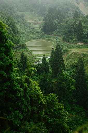 天空の田んぼ　　新潟・旧山古志村