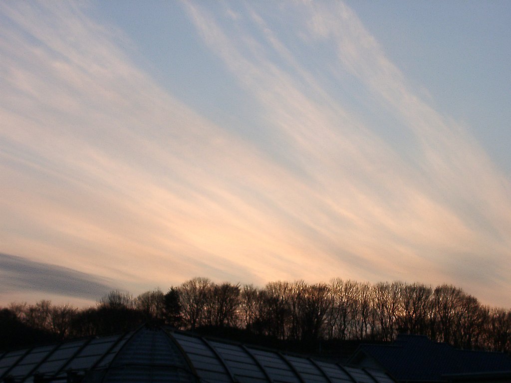 ▲日本画風の夕暮れ-05
