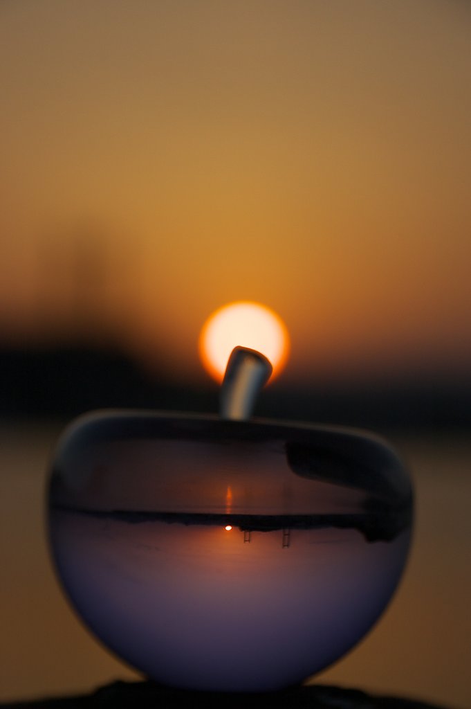 夕日と林檎