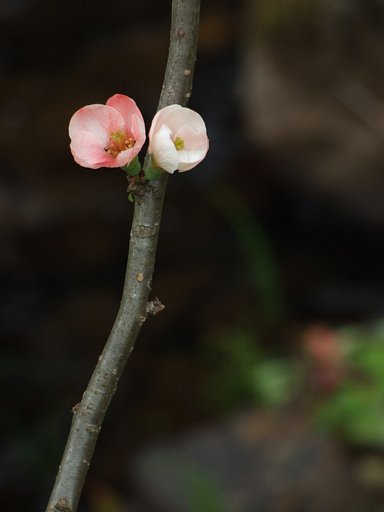 小川のほとりで