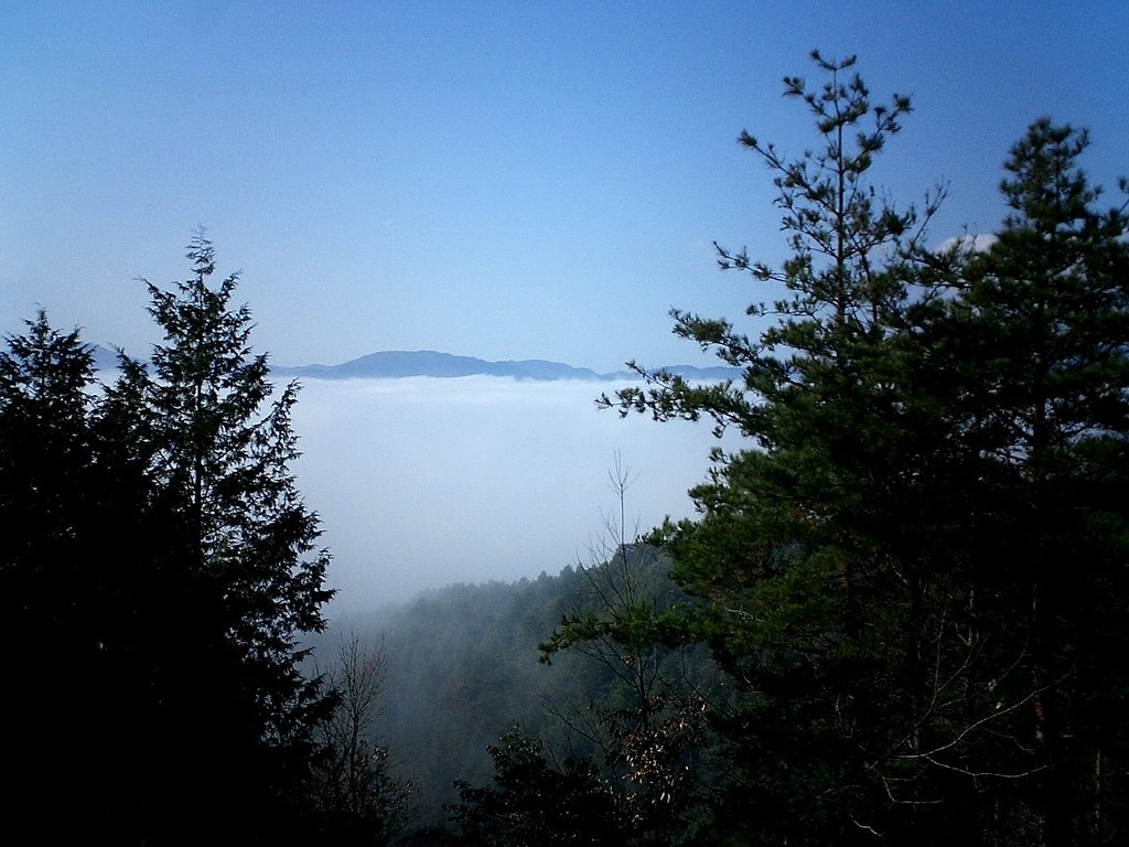 雲海