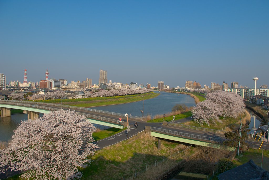 その名を桜川・・・