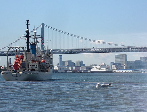 晴海ふ頭の風景