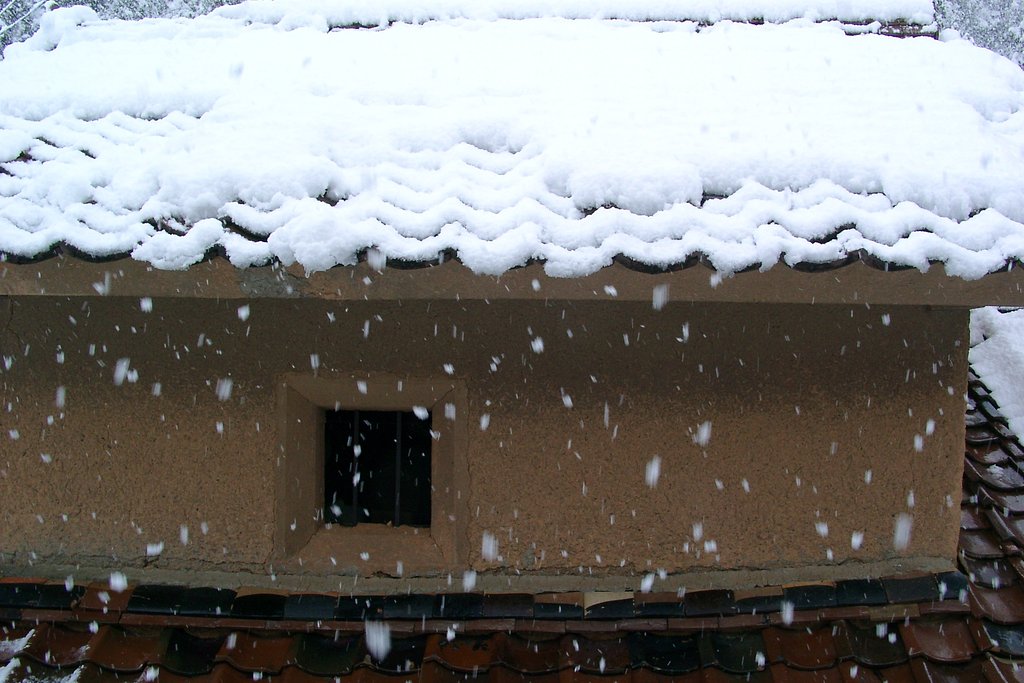 ボタン雪に！