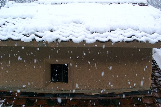 ボタン雪に！