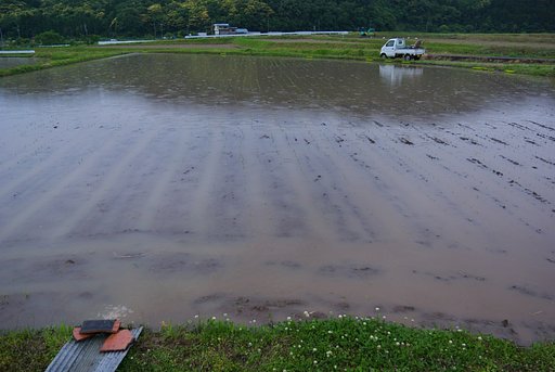 やっと一つ目の田植えをしました。