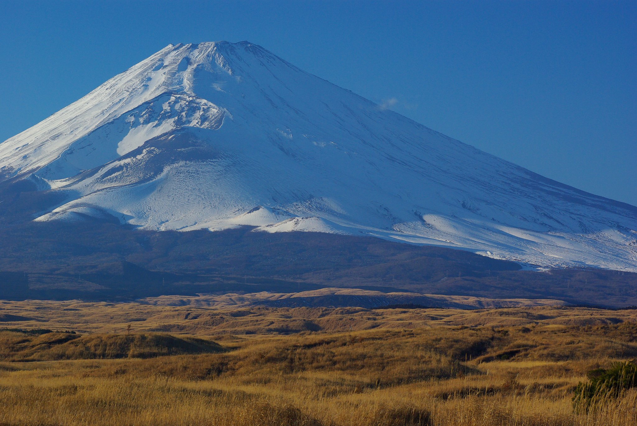 富士山