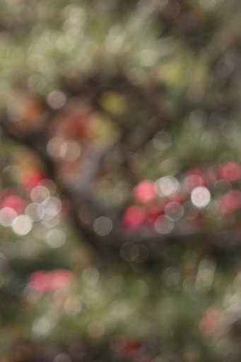 [ザ・ワールド]ド近眼の世界