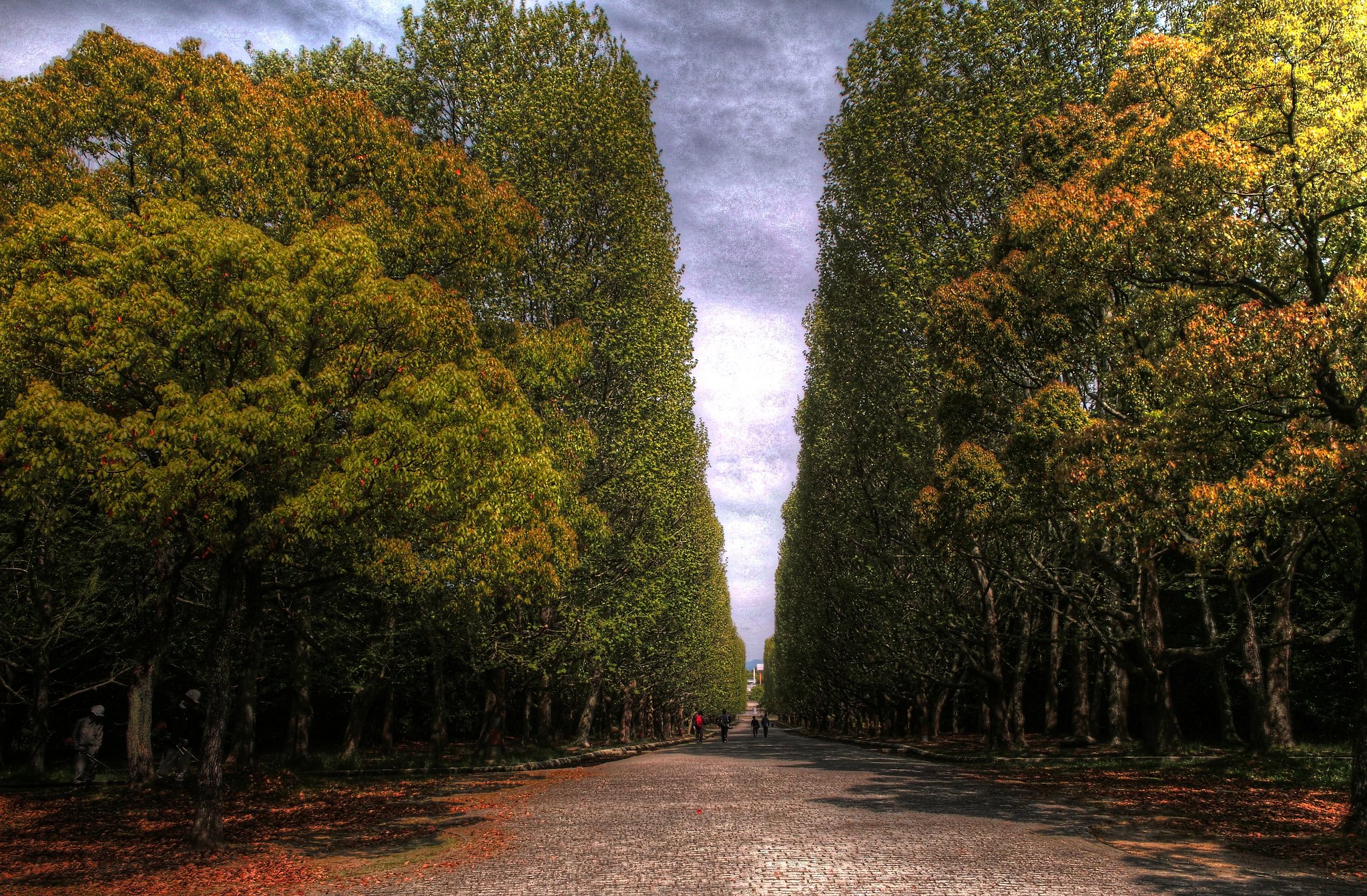 遊歩道