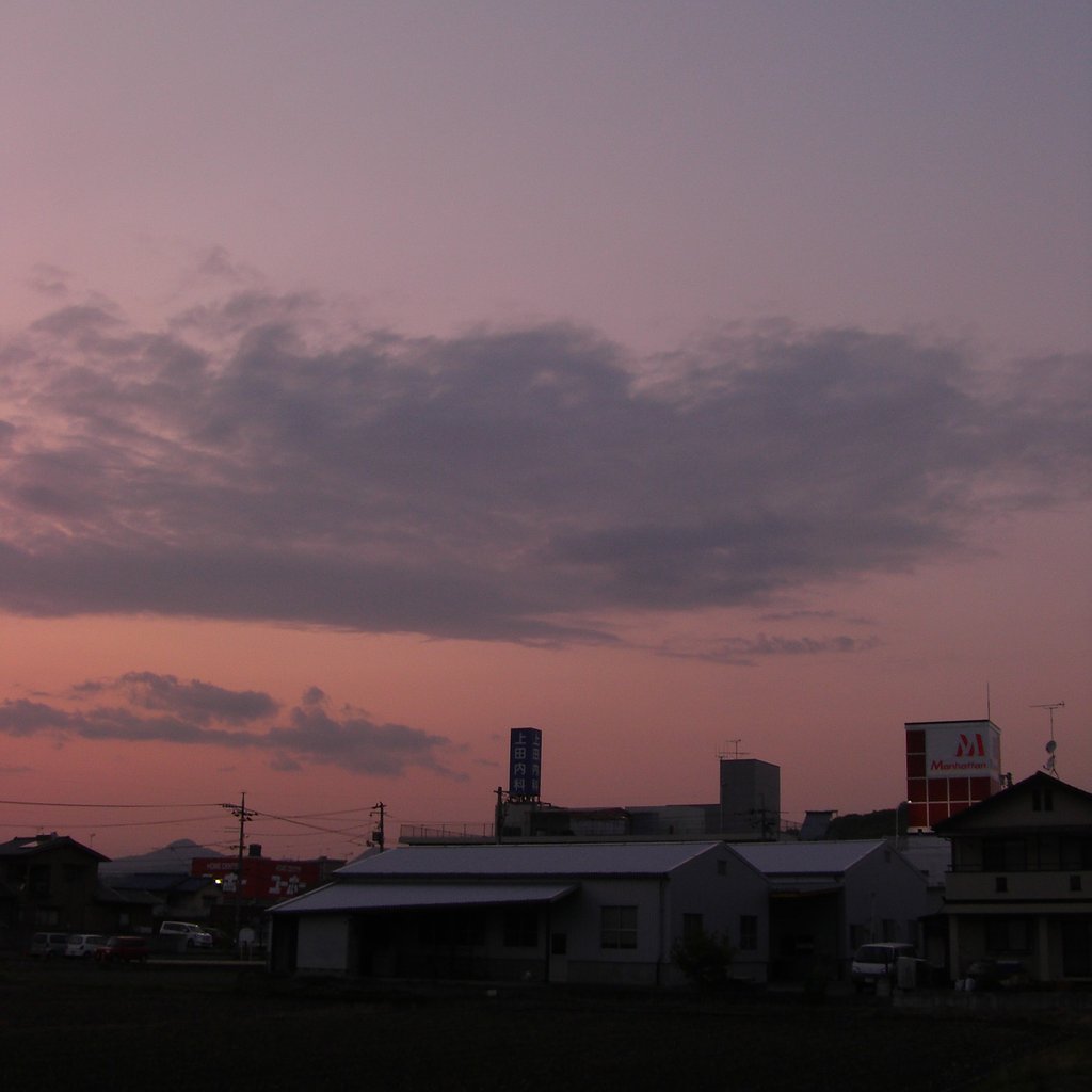 遊びました