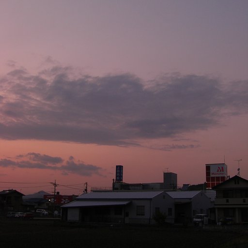 遊びました