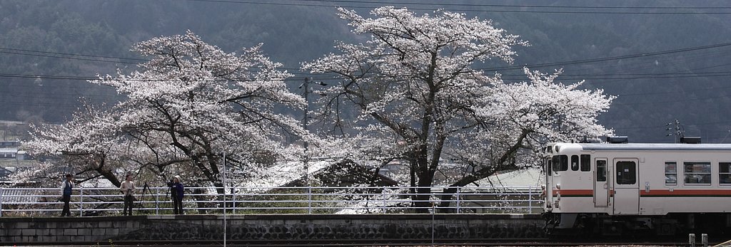 田舎行