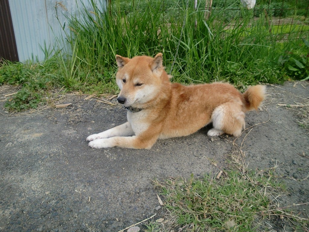退屈してるななせ