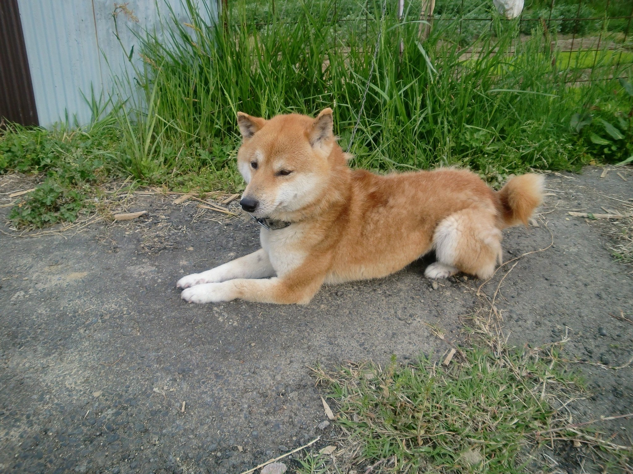 退屈してるななせ