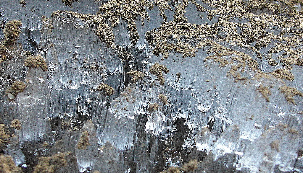 霜柱