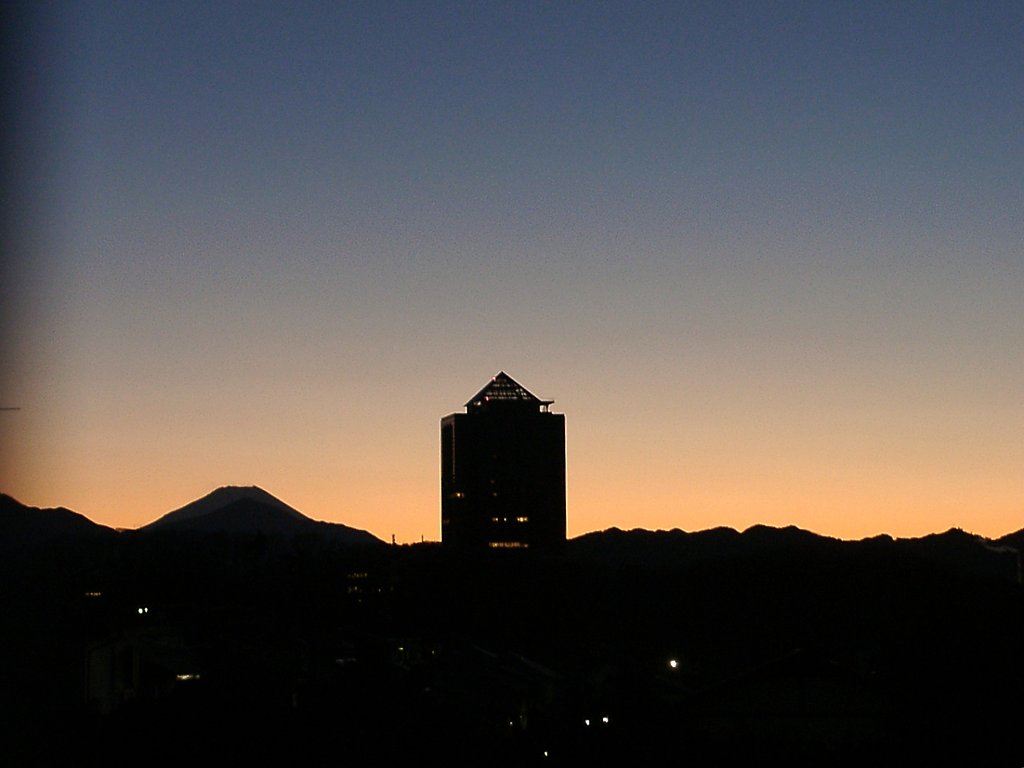 ▲日本画風の夕暮れ-24