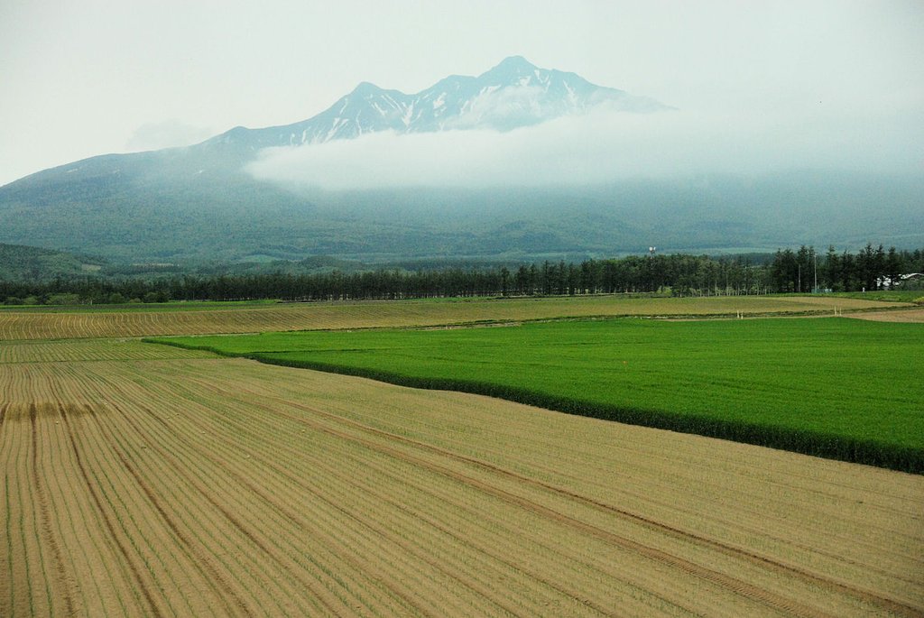 北の大地