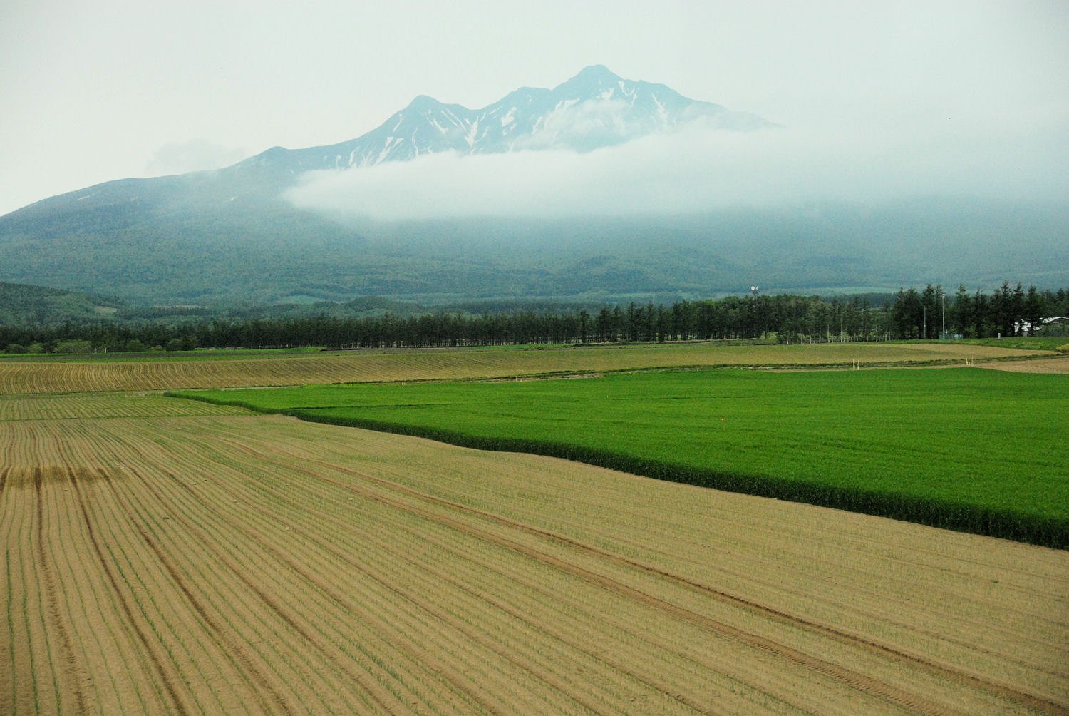 北の大地