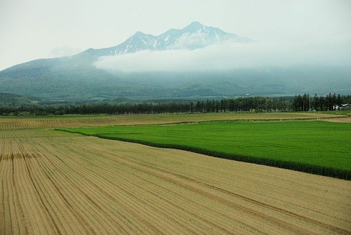 北の大地