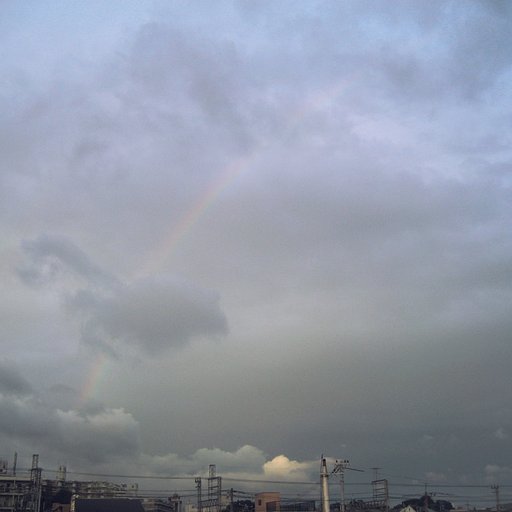 【写川柳】虹をララララ